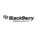 Hosted BlackBerry Enterprise Server (BES)